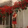 trương thùy trân