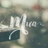Mưa mùa hạ