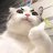 meoconcucxuc210