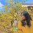 GraceJ.S