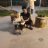 auphong2122gmail.com