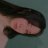 Thanh sois