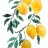 Peachtea1901