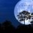 Snow Moon