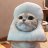 mr.meo