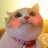HolyMeow