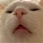 Tô Đình Đình