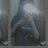 kling0831