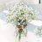 Linh6974