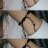 Bạch Lộ Khiết