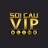 soicauvipbiz