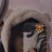 Phuong ann