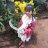 Mộng yểu