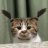 CaTree