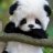 Asvychan159