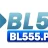 bl555party