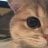 mimikitten