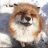 yeens