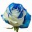 tonvan