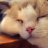 Nyanko