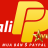 AliPaypalViP