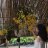 Hang_nguyen7785