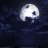 Look At The Moon