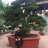 Phnglnhl0810