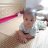 Đinh oanh