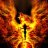 Phoenixfire