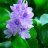 Phuong7853