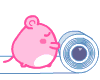 *boni 64*
