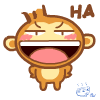 *yoci 21*